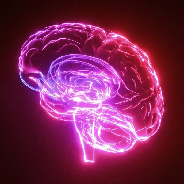 Digital image of a brain